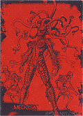 D9 Medusa / On the Shelves (Front)
